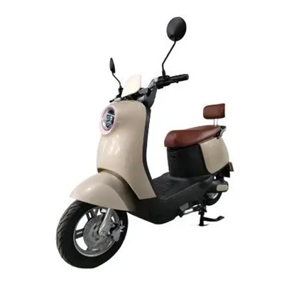 Поддръжката на батерията на електрически мотоциклети е най-критична